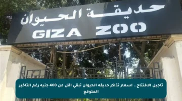 تأجيل الافتتاح.. أسعار تذاكر حديقة الحيوان تبقى أقل من 400 جنيه رغم التأخير المتوقع